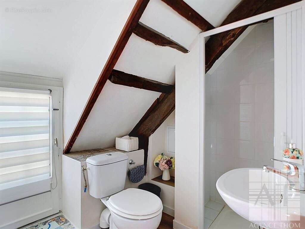 Ensemble immobilier de deux maisons, charme et authenticité - photo 18