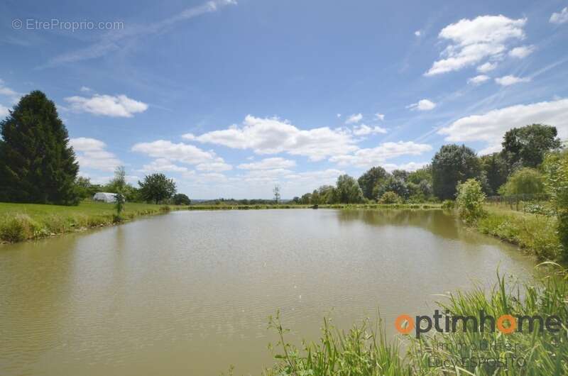  Propriété exceptionnelle avec étang privé sur plus de 1,7 hectare – Mazerolles, Charente  - photo 40
