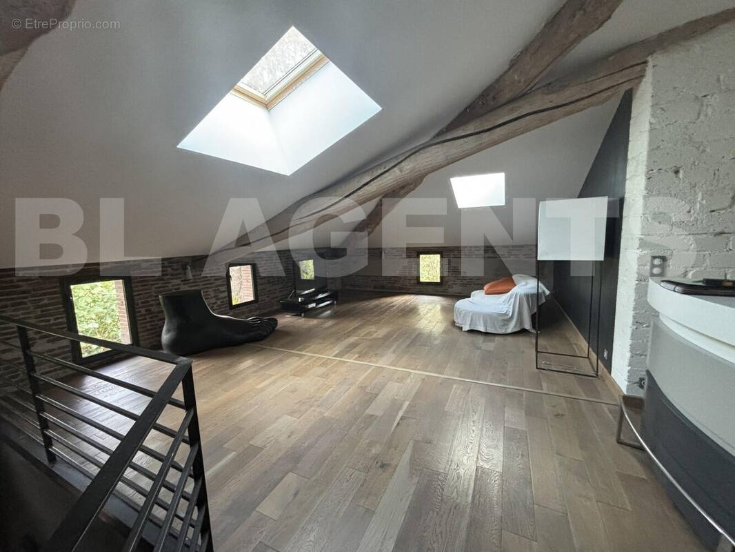 IMG_5856 - Maison à MONTAUBAN