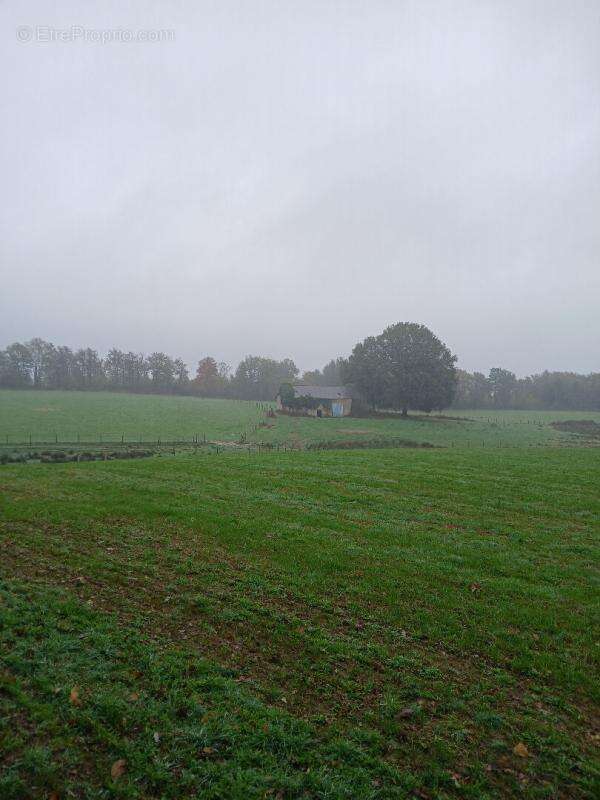 Maison à LADIGNAC-LE-LONG