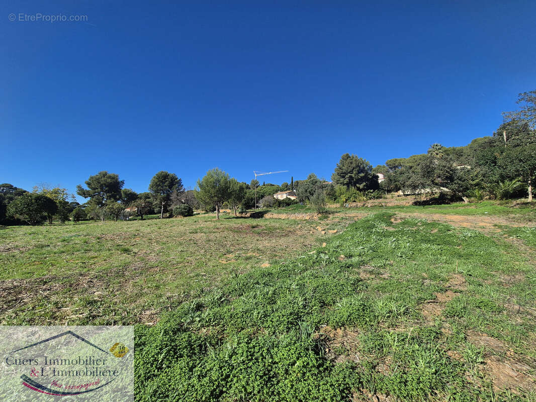 Terrain à LE PRADET