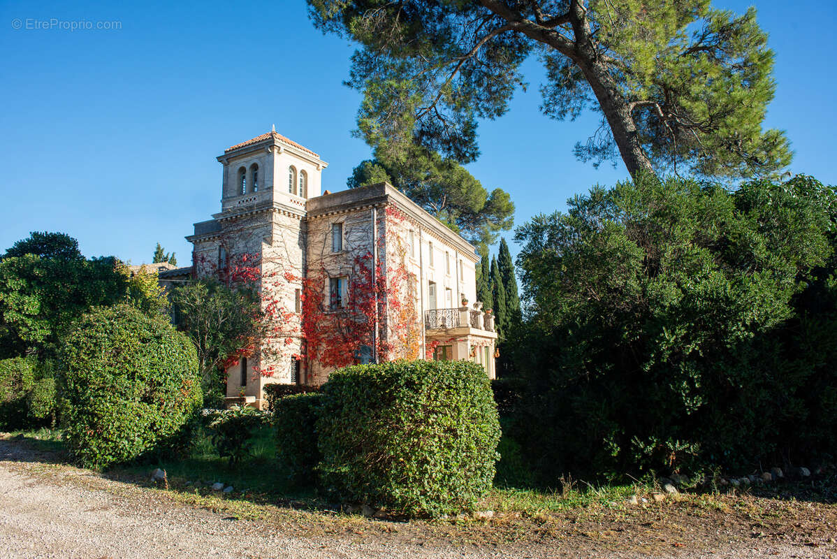 Maison à MONTPELLIER