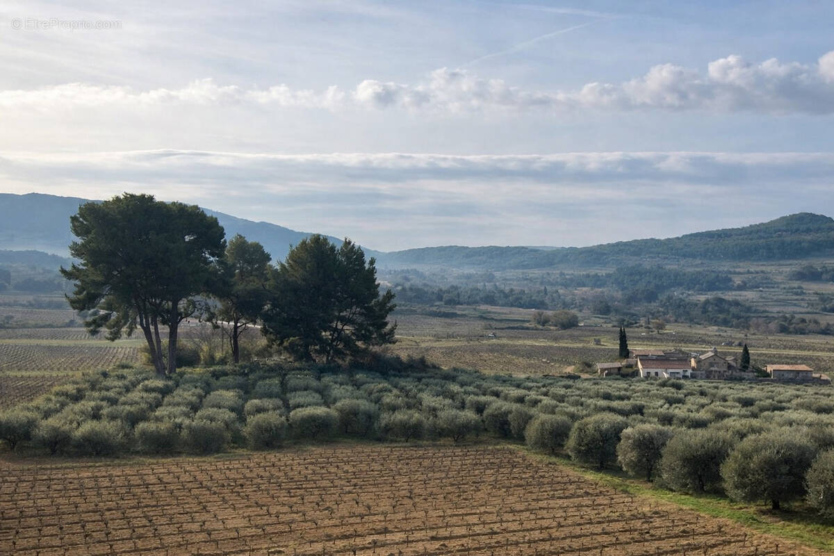 Terrain à LE CASTELLET