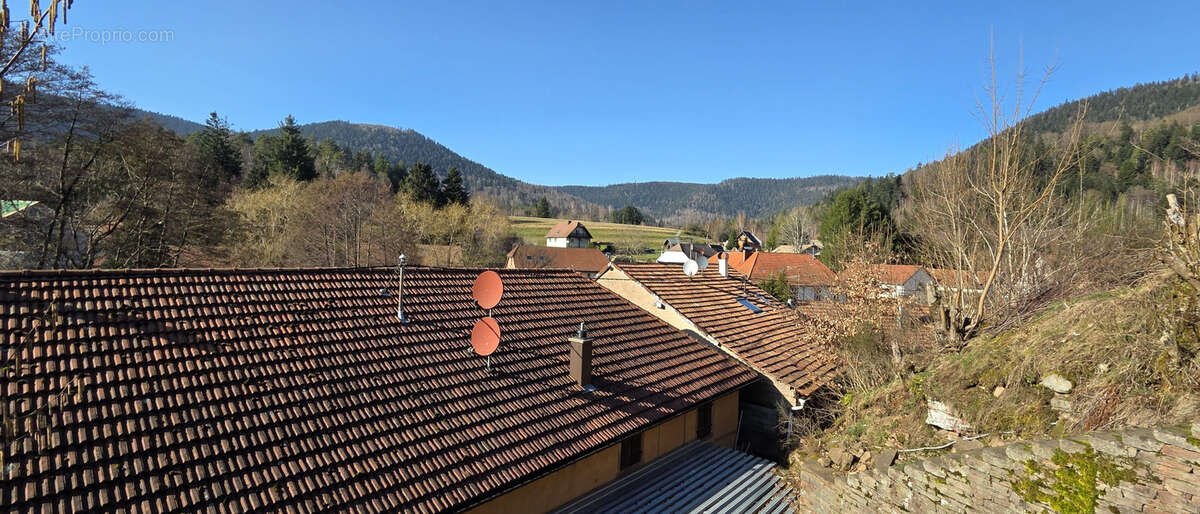 Champenay, commune de Plaine, spacieuse maison de caractère, rénovée, 192 m2, 4 chambres. - photo 7