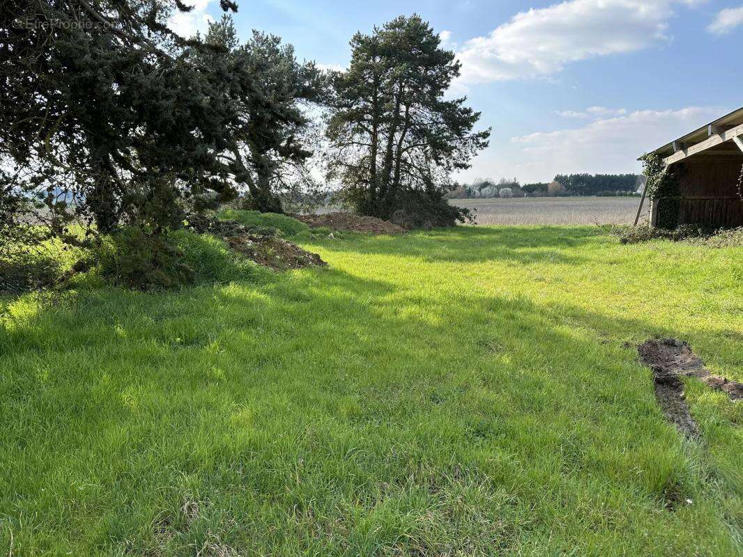 Terrain à ATHEE-SUR-CHER