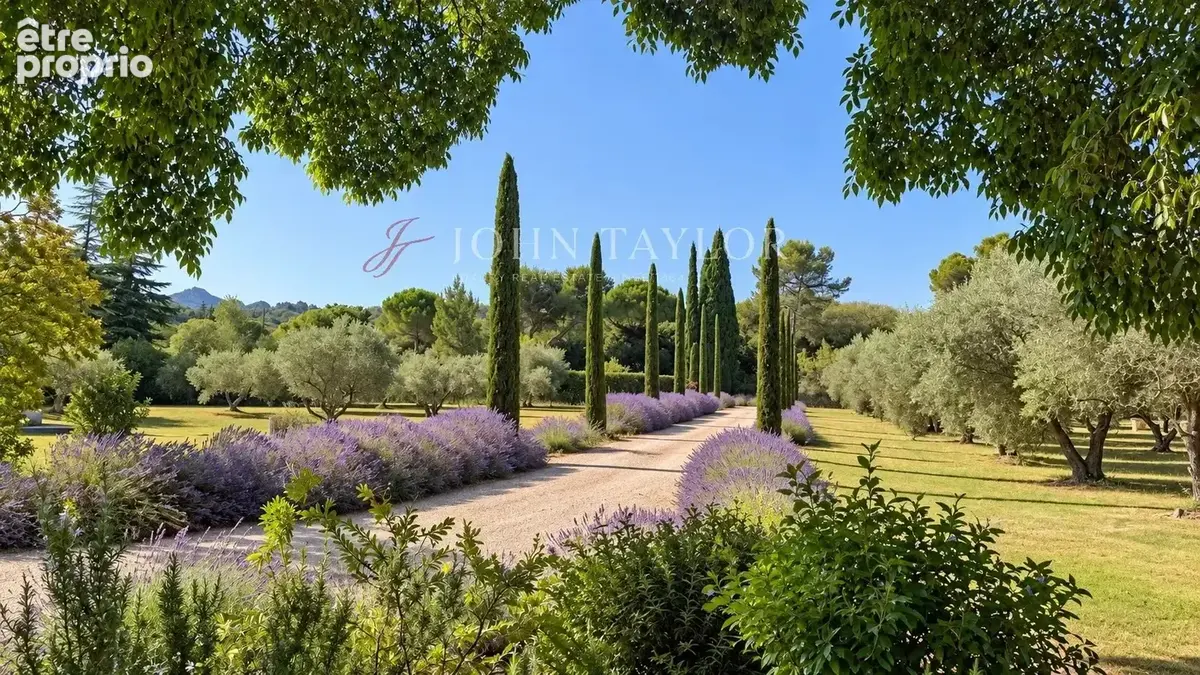 Mas contemporain avec piscine et champ de plus de 60 oliviers à Saint-Rémy-de-Provence - photo 15