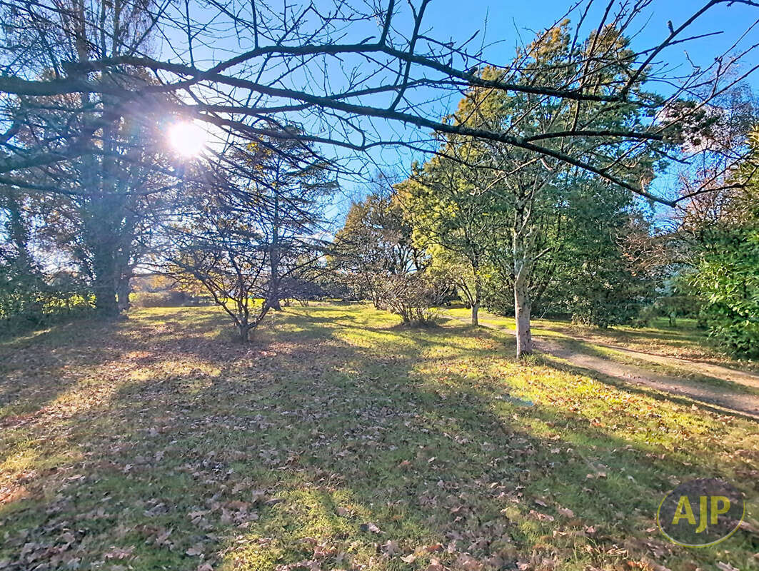 Maison à VIEILLEVIGNE