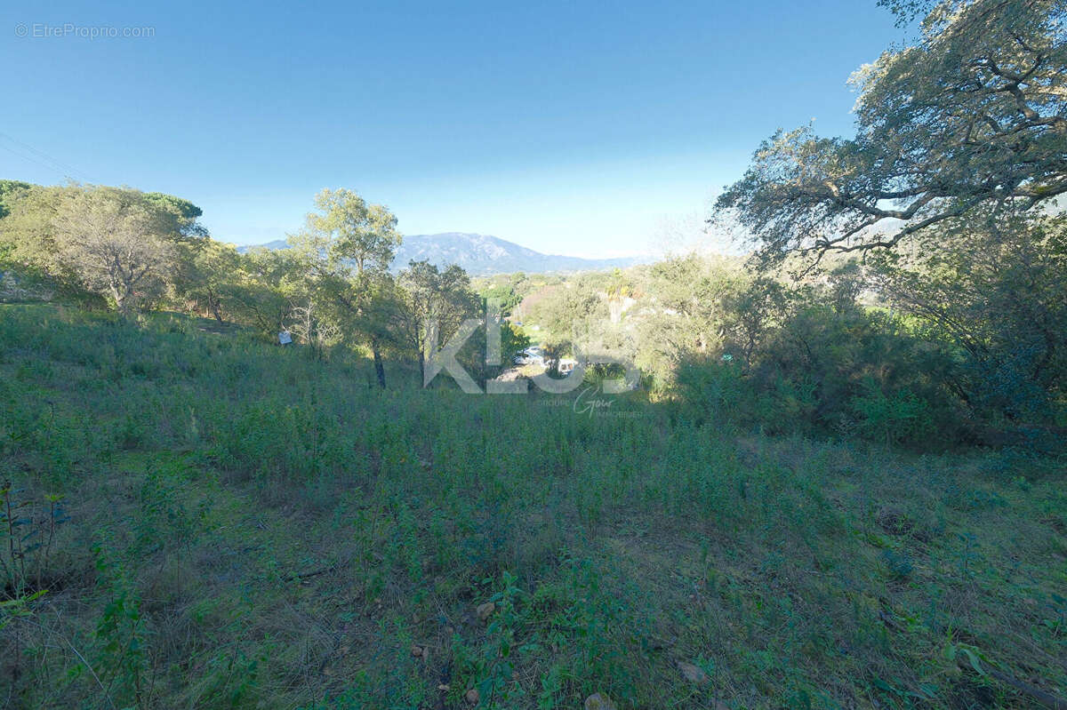 Terrain à CUTTOLI-CORTICCHIATO