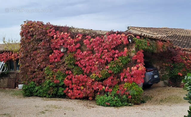 Maison à PERNES-LES-FONTAINES