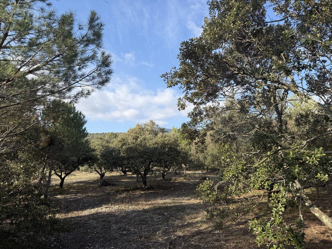 Terrain à CUCURON