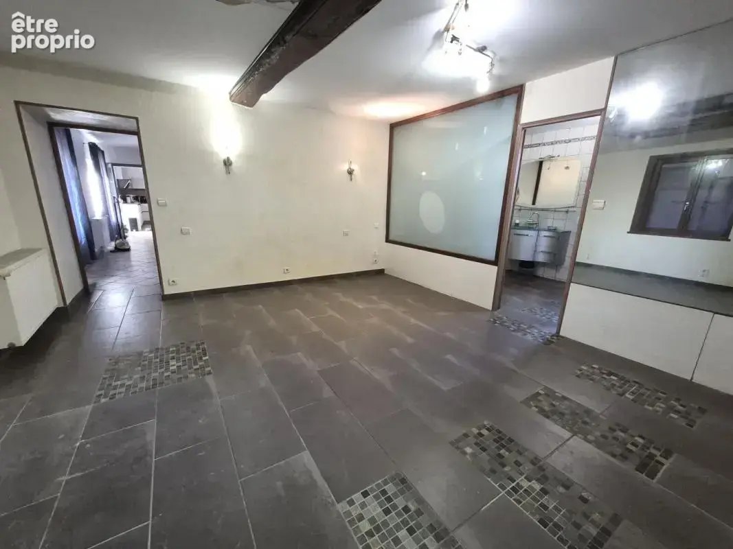 Maison 5 pièces 206 m² à vendre à Saint-Paul-De-Varax (01240) - photo 4