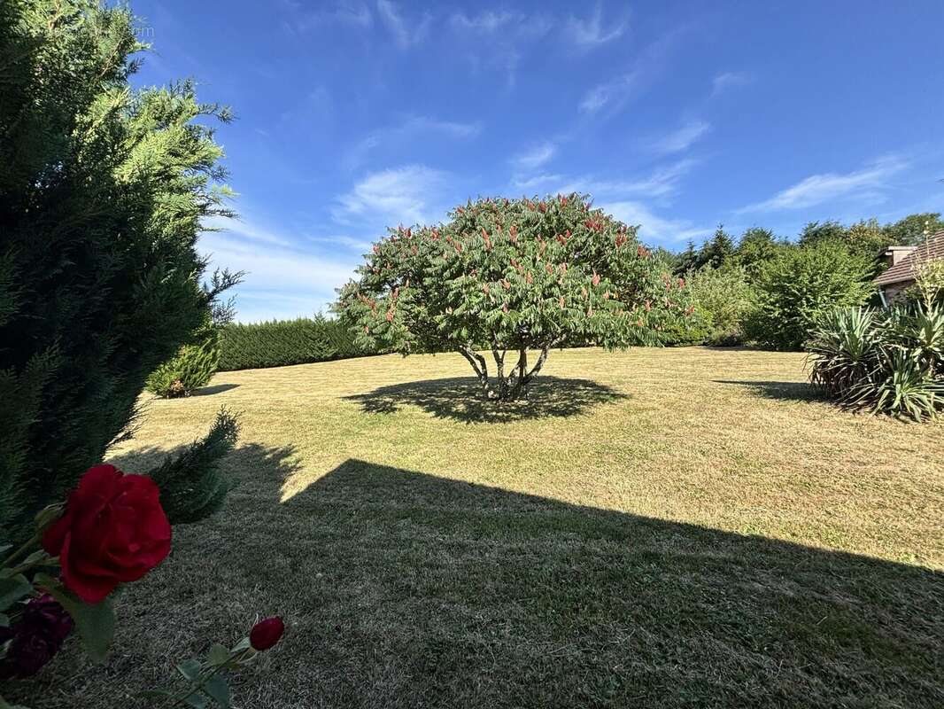 Maison 141 m² à Propieres  - photo 5