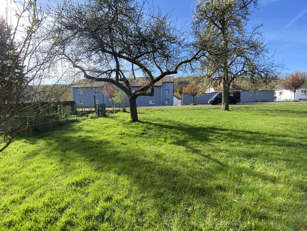 Terrain à HARGARTEN-AUX-MINES