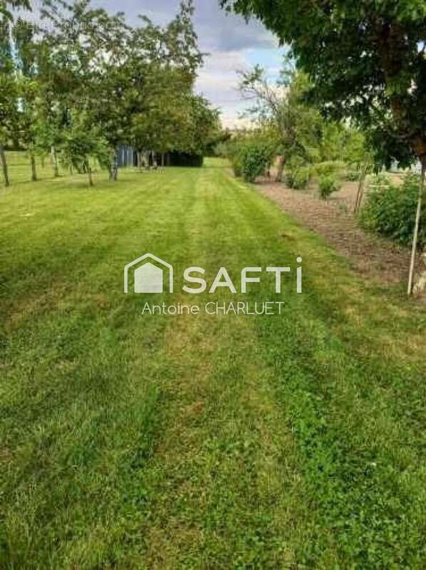 Photo 2 - Terrain à CLION