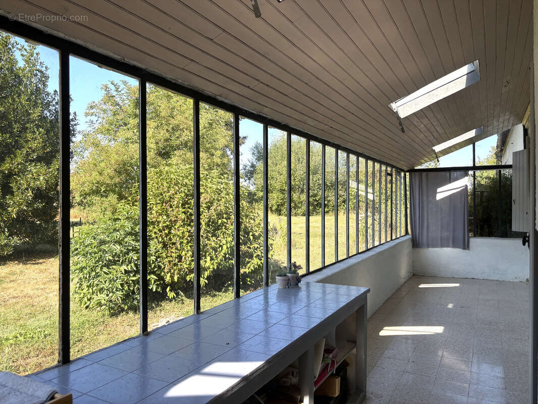 Savigny-sur-clairis - photo 12