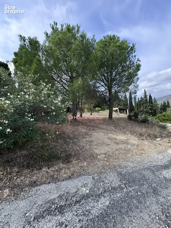 Terrain 6 939 m² à vendre à Prades (66500) - photo 5