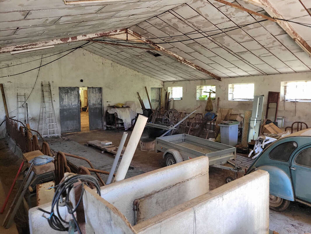 Grande maison familialle  avec dépendances et 2ha du terrain. - photo 17