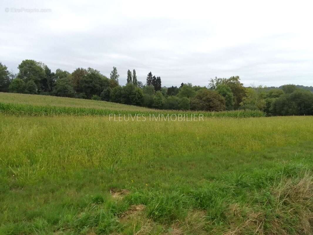 Terrain à NAVARRENX