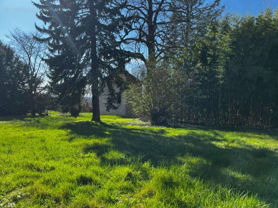 Terrain 453 m² à Parcieux  - photo 3