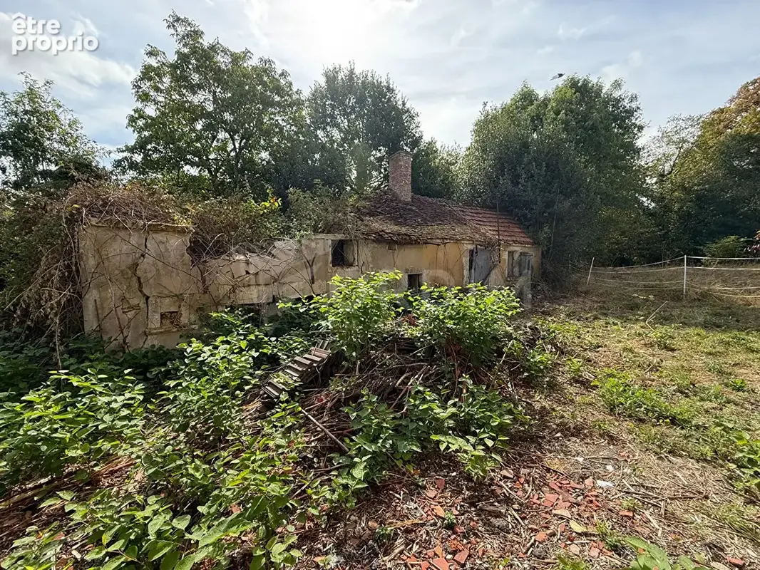 Maison ancienne avec dépendances sur 3 073 m² - Hameau de Treigny (89520) - photo 4