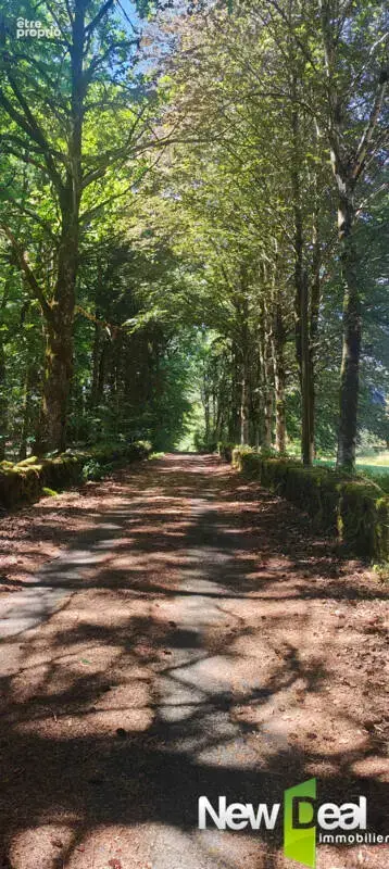Exceptionnel Domaine sur 9ha en bordure d'étang - photo 28