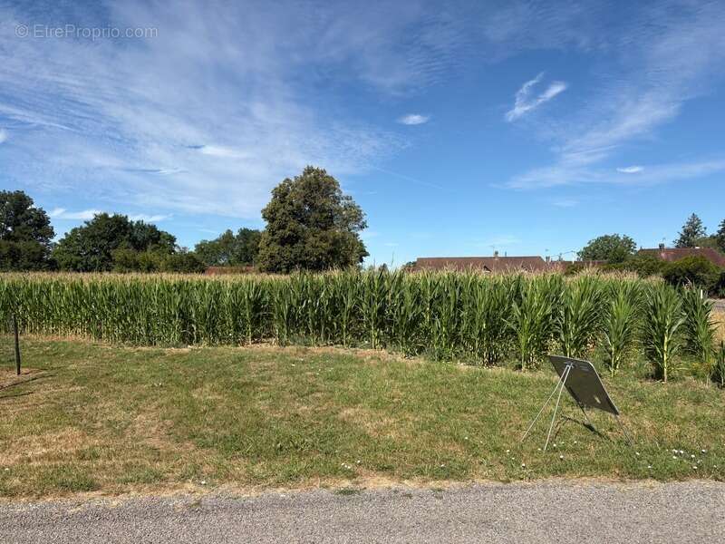 Terrain à vendre  SENS SUR SEILLE (71) - photo 2