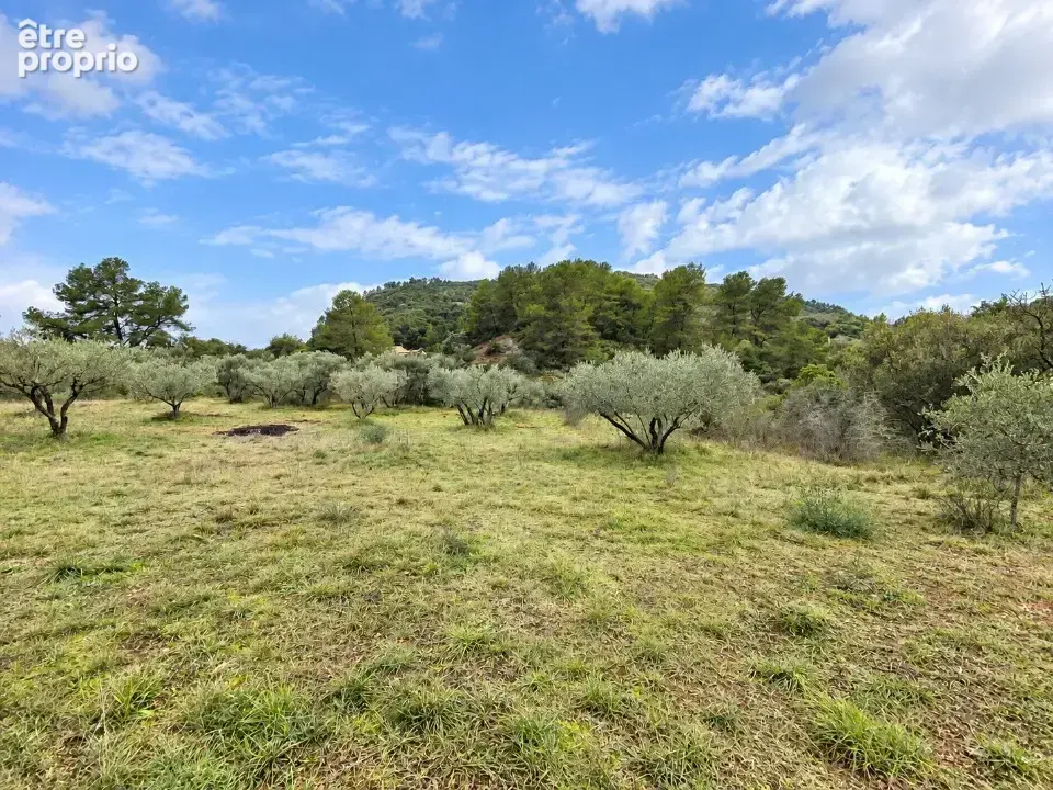 Terrain 500 m² à vendre à Gonfaron (83590) - photo 3