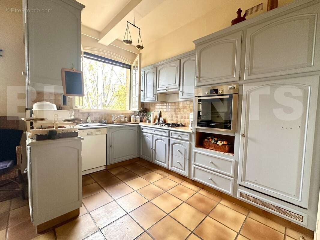 IMG_5949 - Maison à ALLASSAC