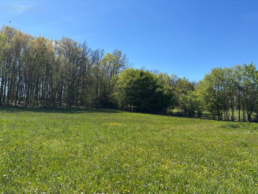 Photo 1 - Terrain à LE VIGAN