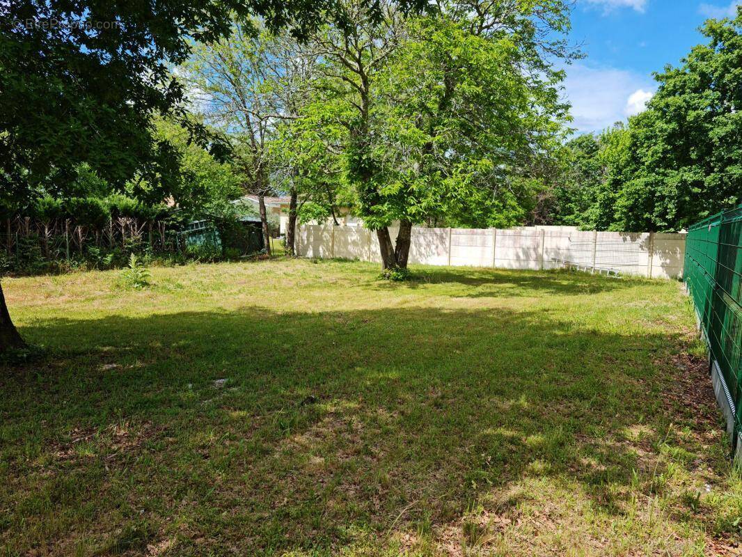 Terrain à BELIN-BELIET