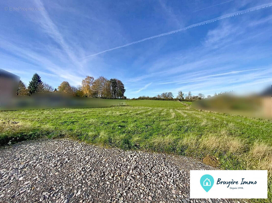 Terrain à SASSEGNIES