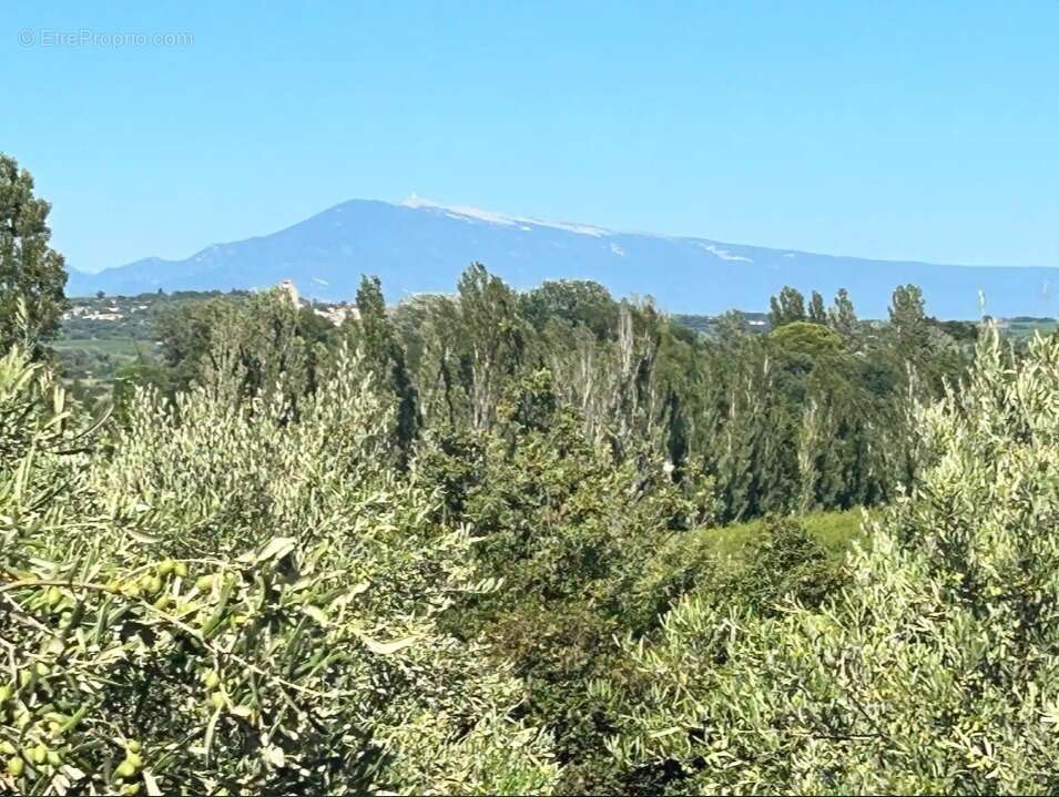 Terrain 400 m² à Roquemaure  - photo 3