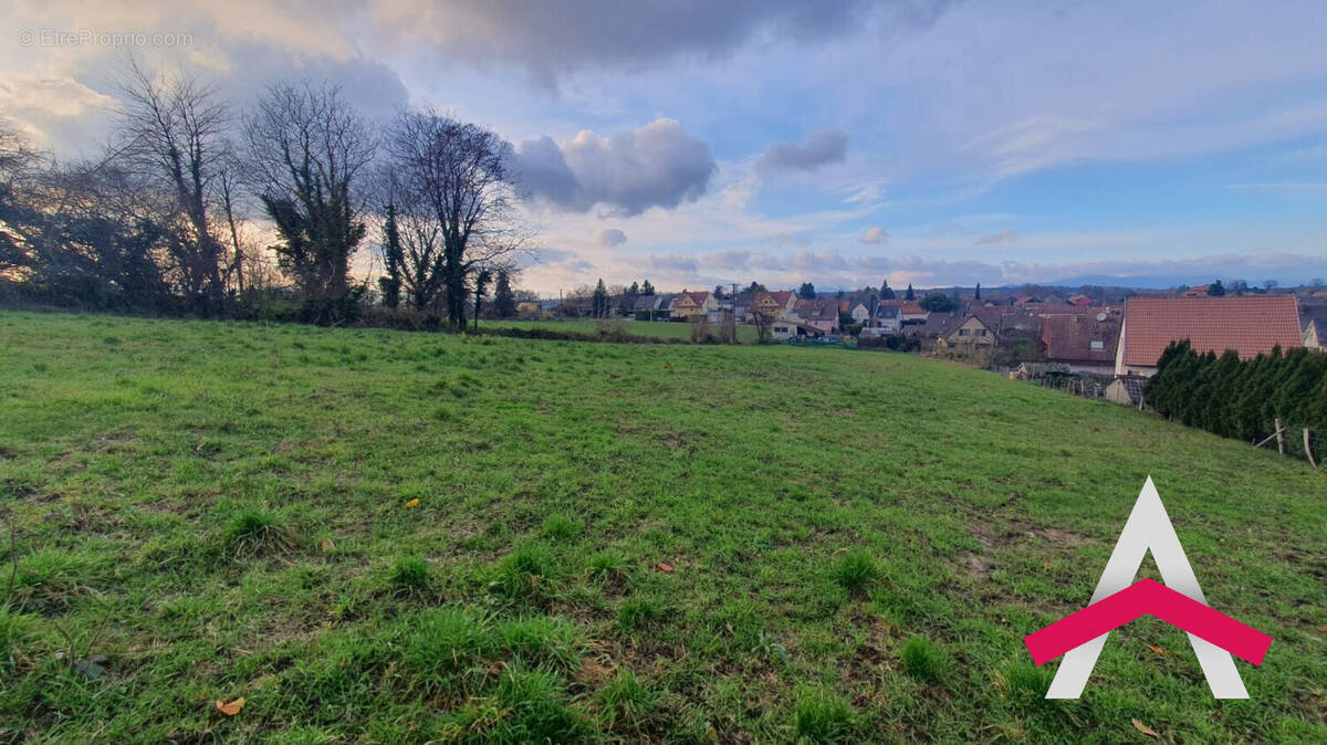 Terrain à HOCHSTATT