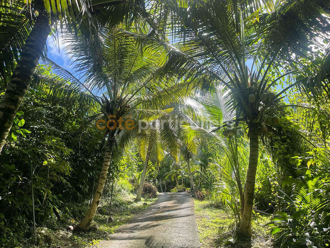 Villa vue panoramique Gosier - photo 4