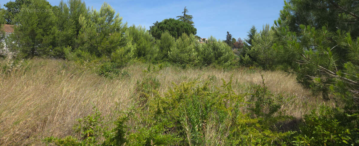 Marseillette : terrain 1430m² libre de construction - photo 2