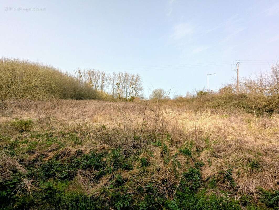 Terrain à ISIGNY-SUR-MER
