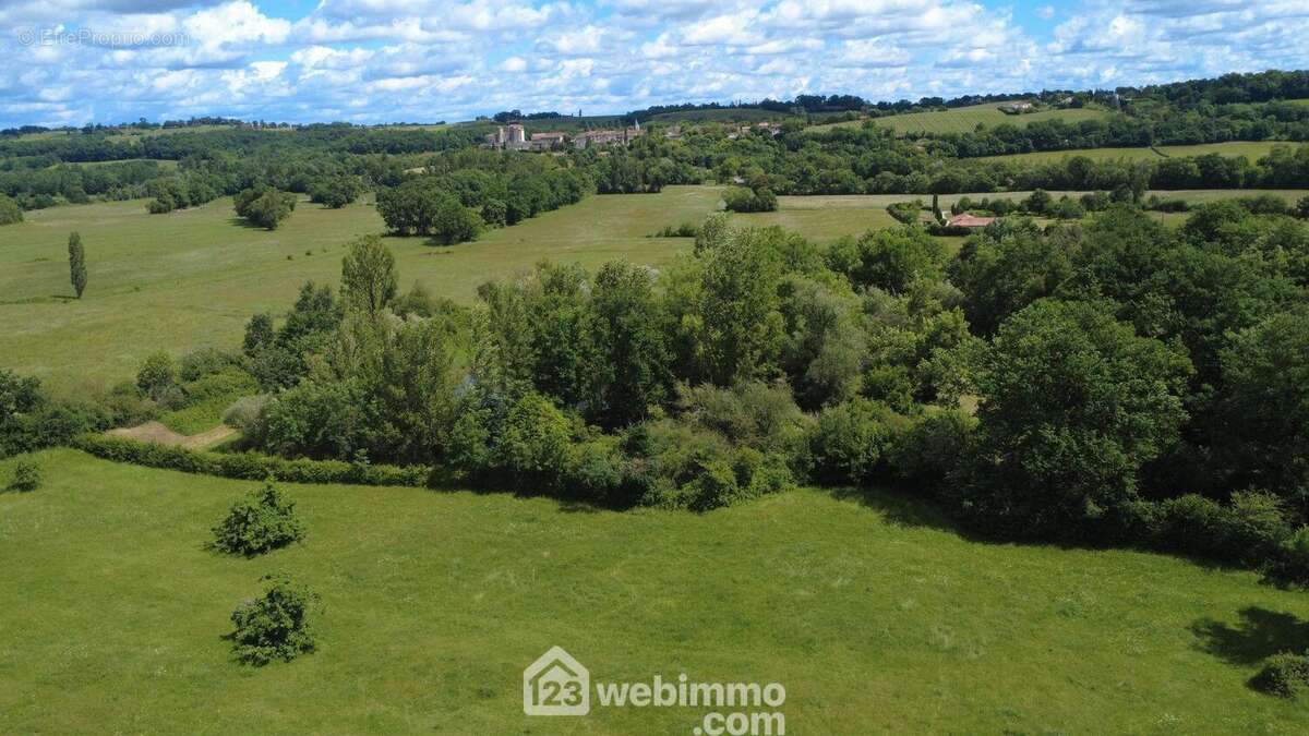 Maison 315 m² à Vic-Fezensac  - photo 11