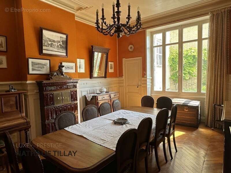 Orleans, centre, a vendre, hôtel particulier 400 m², jardin - photo 6