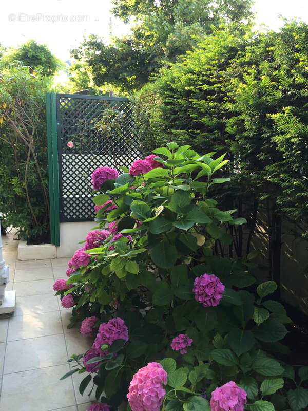 Appartement à ANTONY