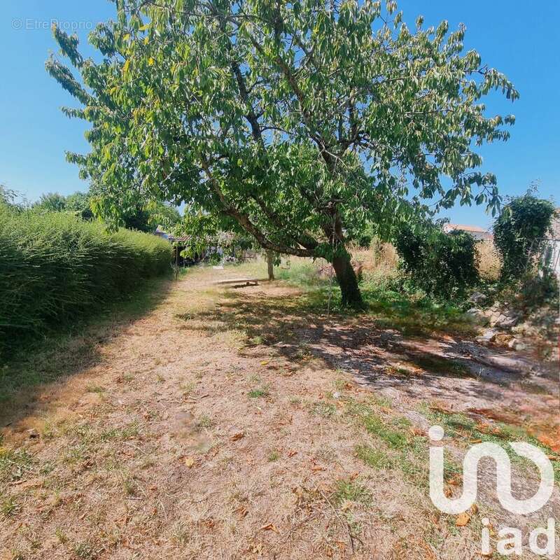 Photo 3 - Maison à ARDIN