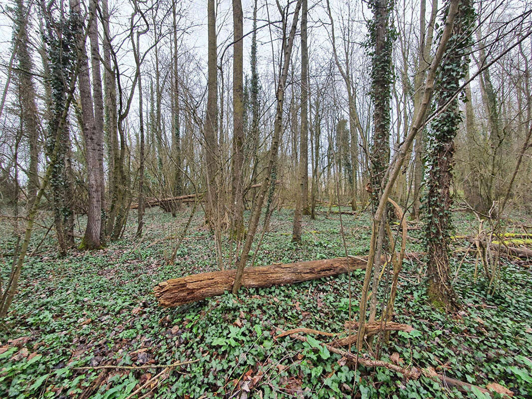 Terrain à SAINT-QUENTIN