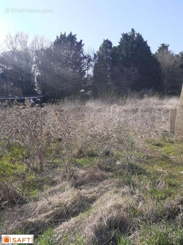 Photo 6 - Terrain à XIROCOURT