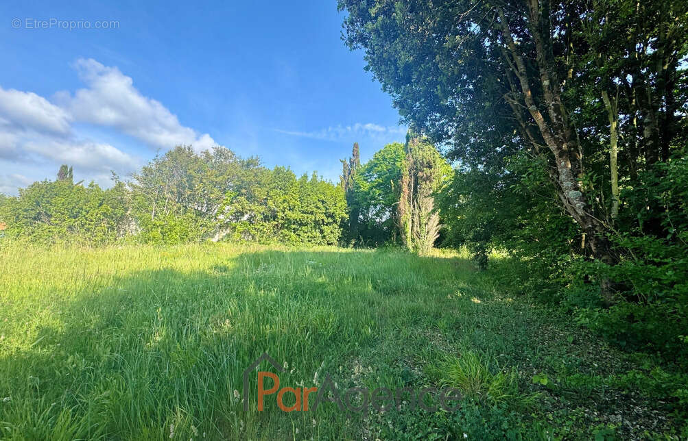 Terrain à VAUX-SUR-MER