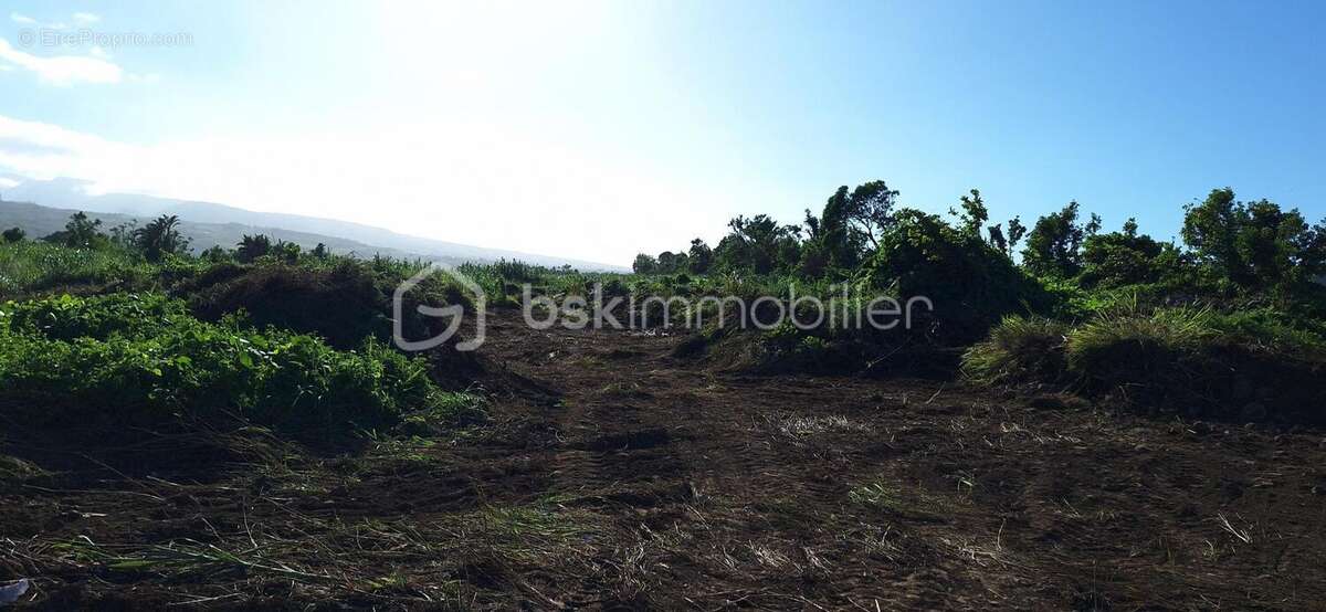 Terrain à BRAS-PANON