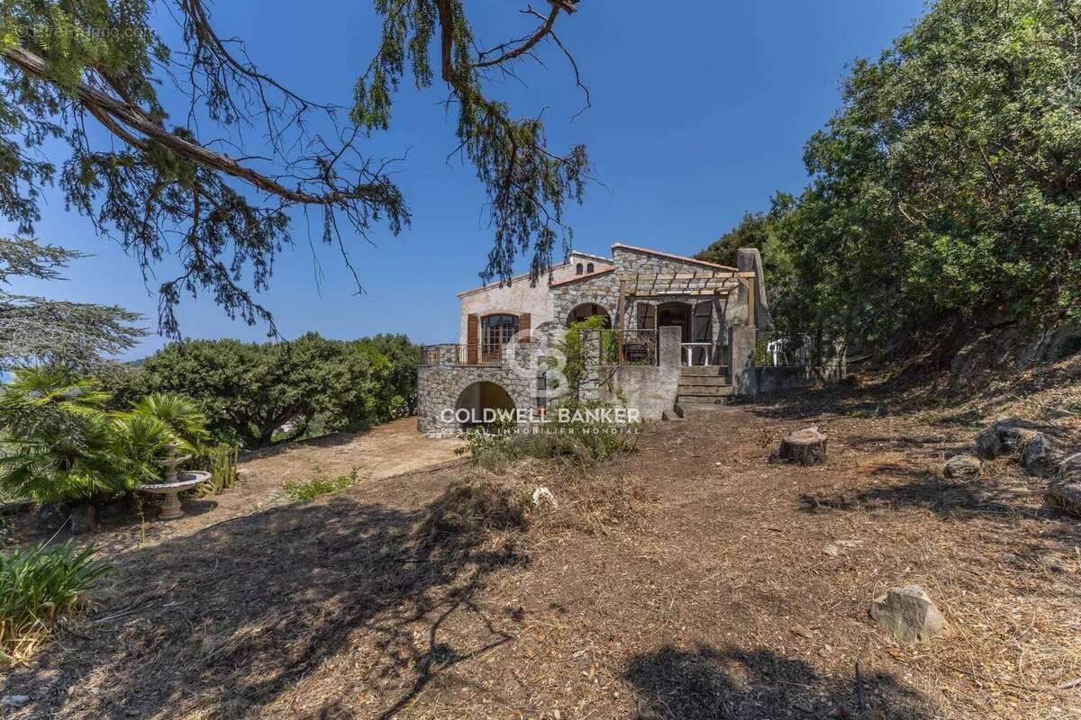 Corbara - Maison de caractère vue mer - Jardin & garage - photo 27
