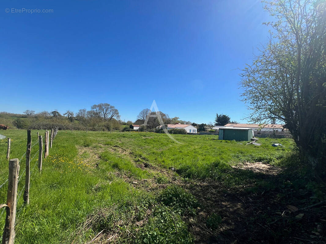 Terrain à SAINT-VINCENT-SUR-JARD