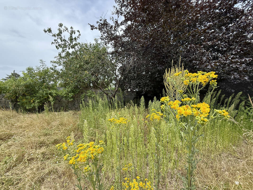 Sublime maison de 1985  type 6 sur 635 m2 de terrain - photo 2