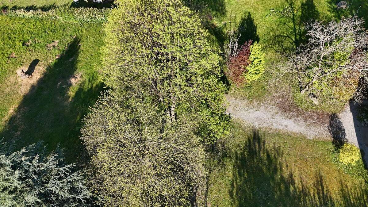 Terrain à LUGRIN