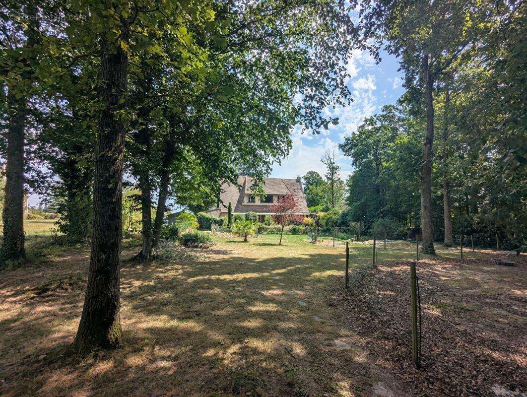 Propriété 107m2 3 chambres Parcelle arboré 4 611m2 - photo 14