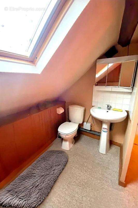 Maison à VILLEBLEVIN